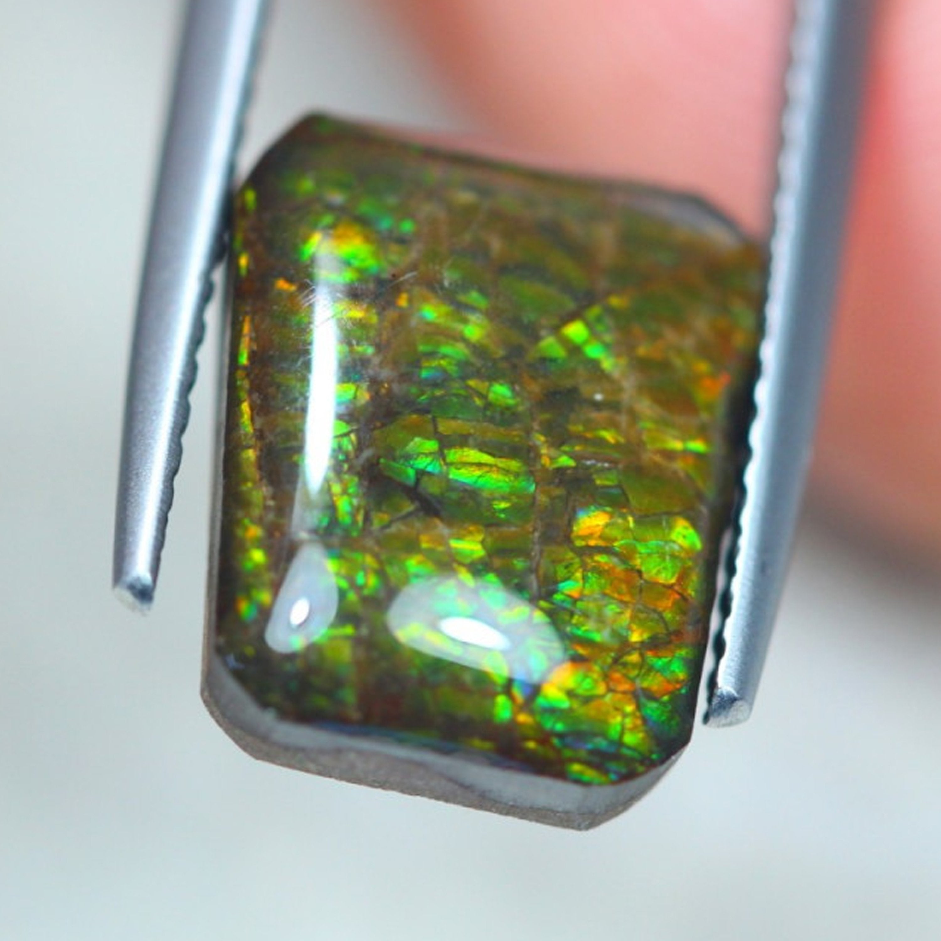 4.45ct Canadian Ammolite - The Rutile Ltd