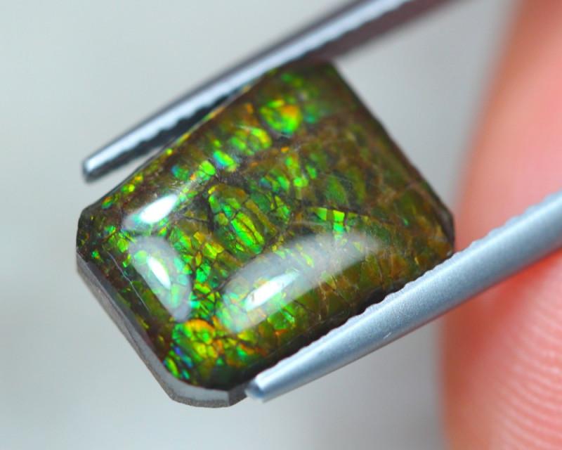 4.45ct Canadian Ammolite - The Rutile Ltd