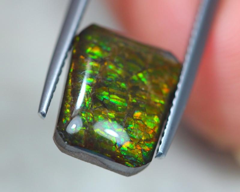 4.45ct Canadian Ammolite - The Rutile Ltd