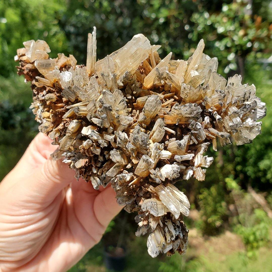 Selenite Crystal Specimen - The Rutile Ltd