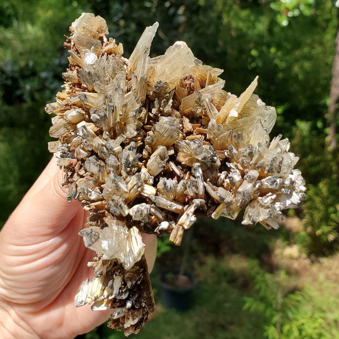 Selenite Crystal Specimen - The Rutile Ltd
