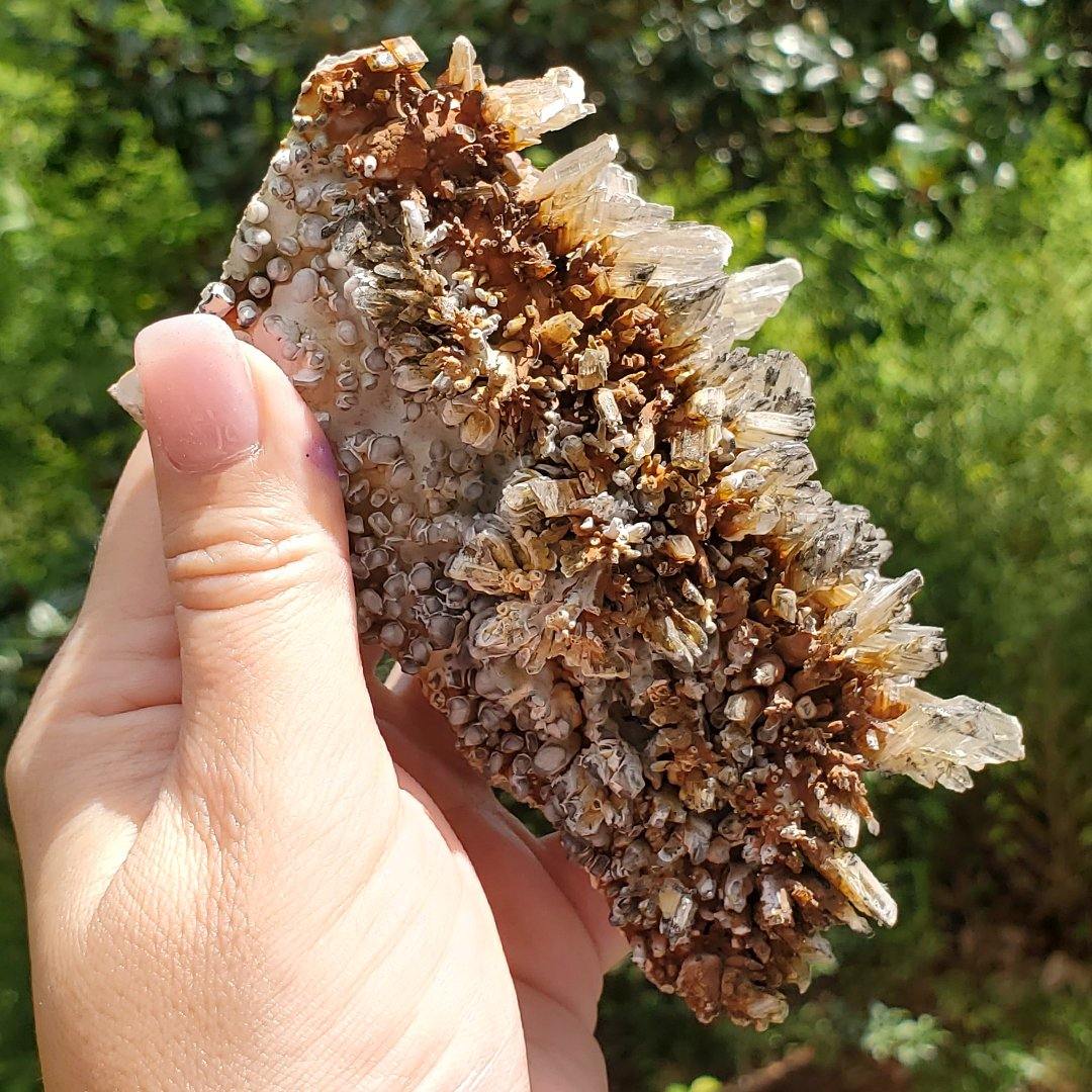 Selenite Crystal Specimen - The Rutile Ltd