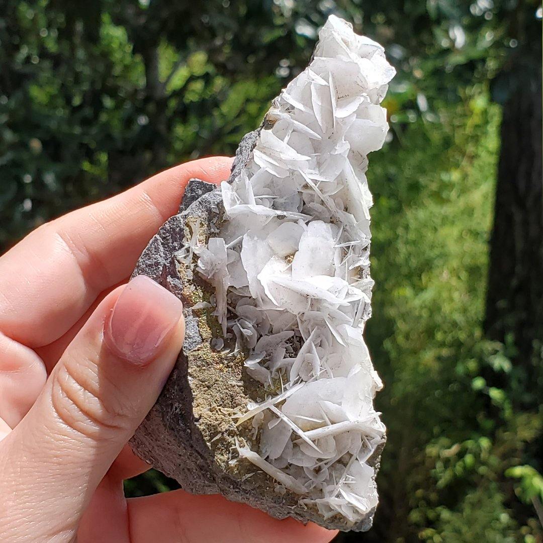 Angel Wing Calcite Specimen - The Rutile Ltd