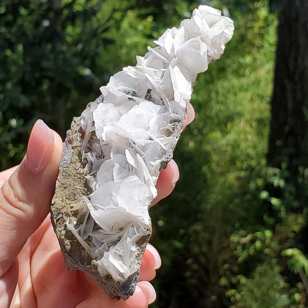 Angular Calcite Angel Wing Calcite Specimen